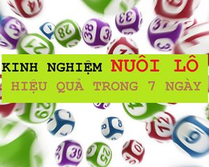 Cao thủ chia sẻ kinh nghiệm nuôi lô khung 7 ngày ăn tiền nhà cái