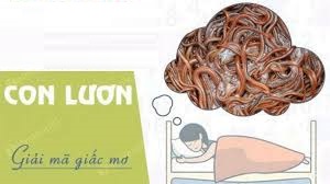 Nằm mơ thấy lươn là điềm gì, đánh con gì để nổ to trúng lớn?