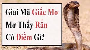 Ngủ mơ thấy rắn đánh lô đề gì? Giải mã giấc mơ thấy rắn