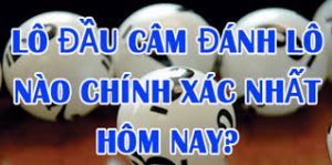 Lô câm là gì? Lô câm đánh con gì? – Kinh nghiệm chơi lô câm chuẩn nhất 2020